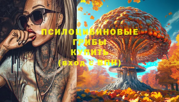 2c-b Абаза